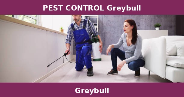 PEST CONTROL Greybull